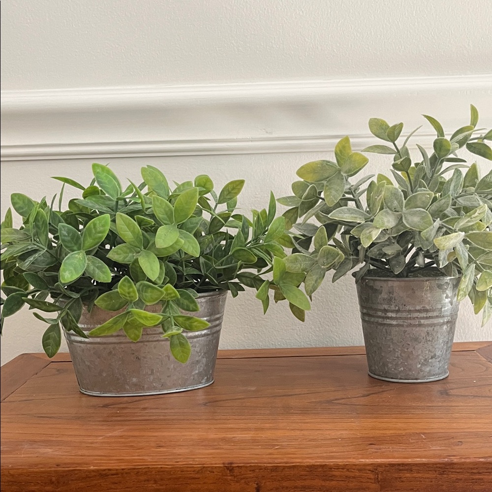 Greenery in Galvanized Planters